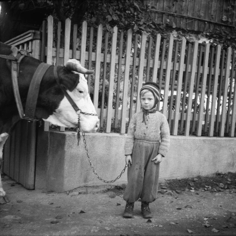 049 vnuk Kosiny z Pardubic